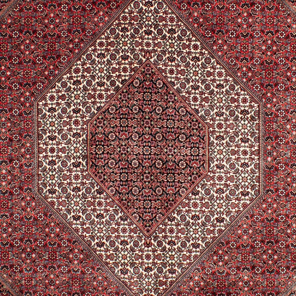 Persisk tæppe - Bijar - 302 x 204 cm - lysrød