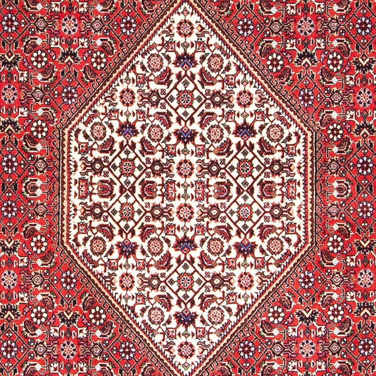 Persisk tæppe - Bijar - 175 x 108 cm - rød