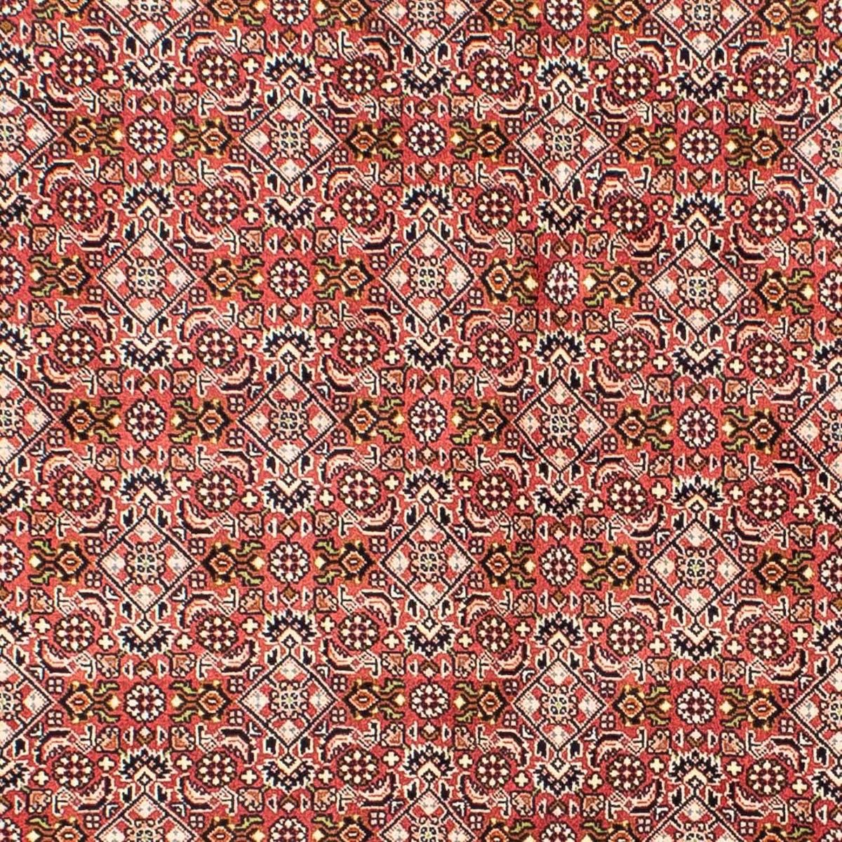 Persisk tæppe - Bijar - 215 x 136 cm - lysrød