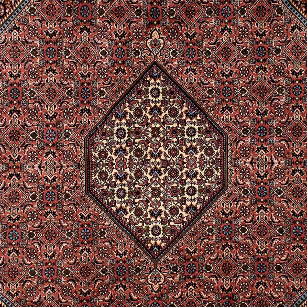 Persisk tæppe - Bijar - 296 x 201 cm - brun