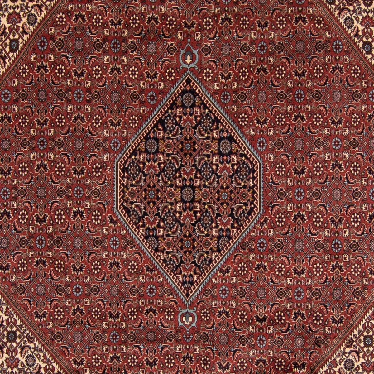 Persisk tæppe - Bijar - 342 x 250 cm - brun