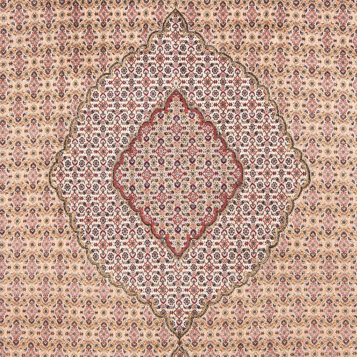 Persisk tæppe - Tabriz - 288 x 197 cm - lys brun