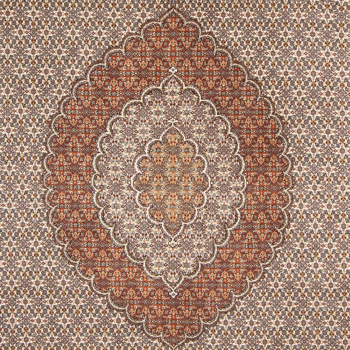 Persisk tæppe - Tabriz - 312 x 196 cm - lys brun