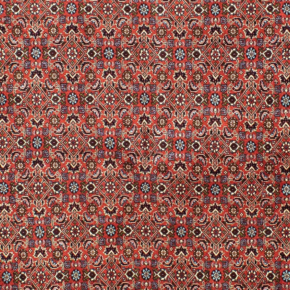 Persisk tæppe - Bijar - 288 x 202 cm - lysrød