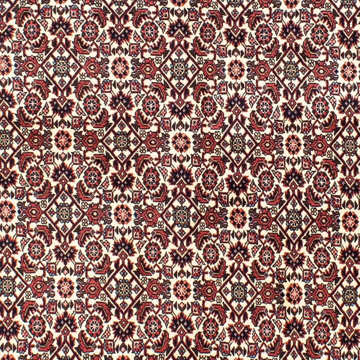 Persisk tæppe - Bijar - 202 x 145 cm - beige