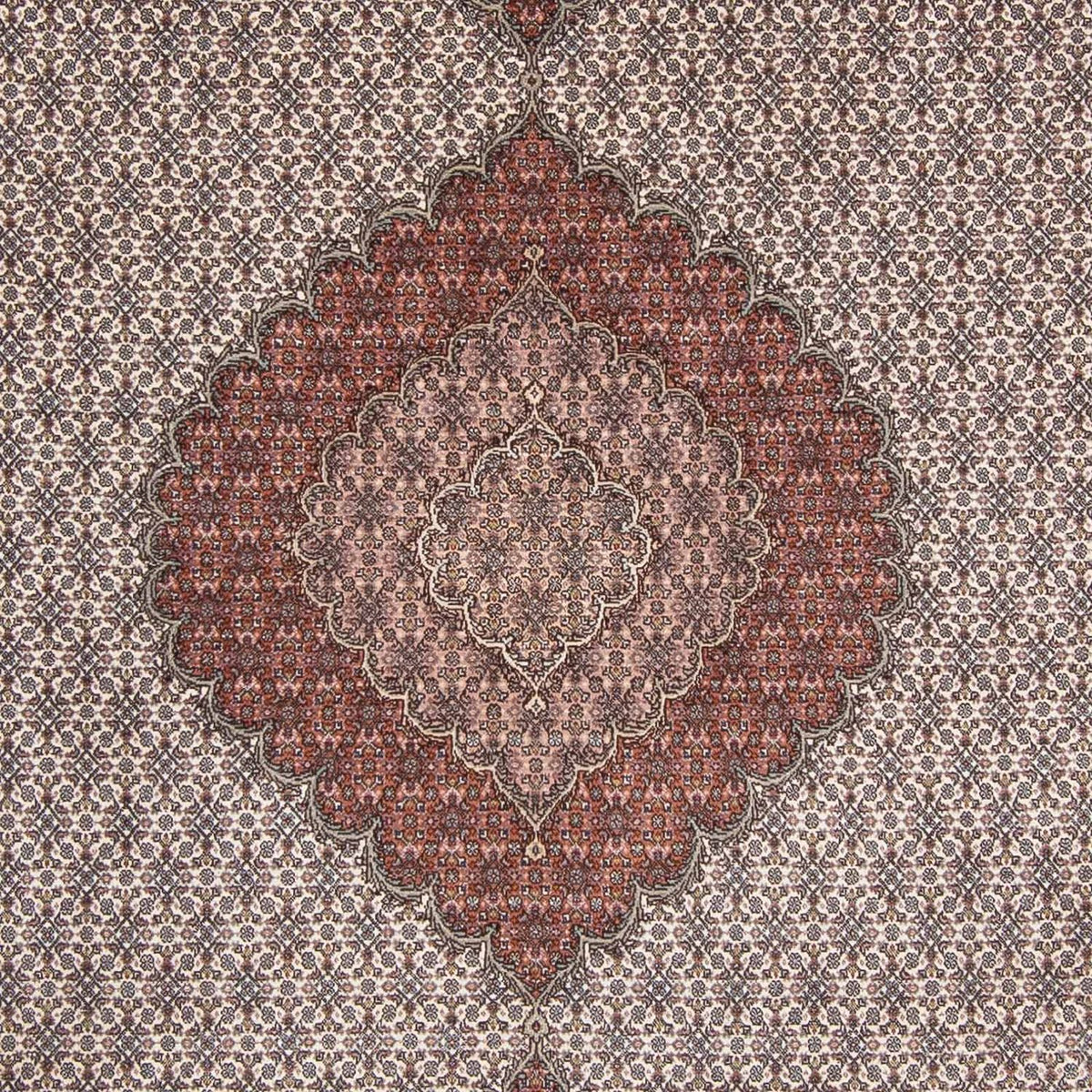 Persisk tæppe - Tabriz - 307 x 202 cm - brun