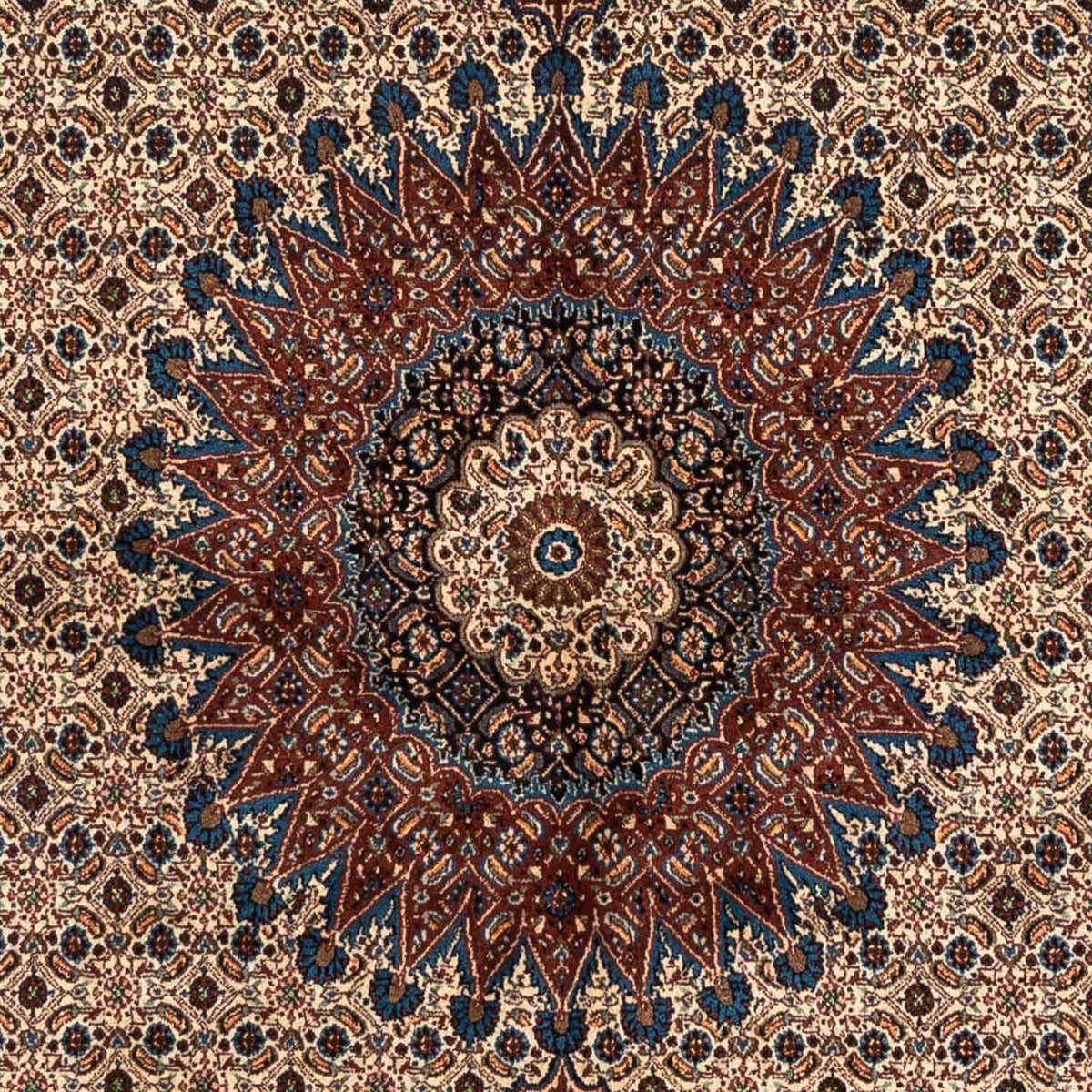 Persisk tæppe - Classic - 238 x 170 cm - beige