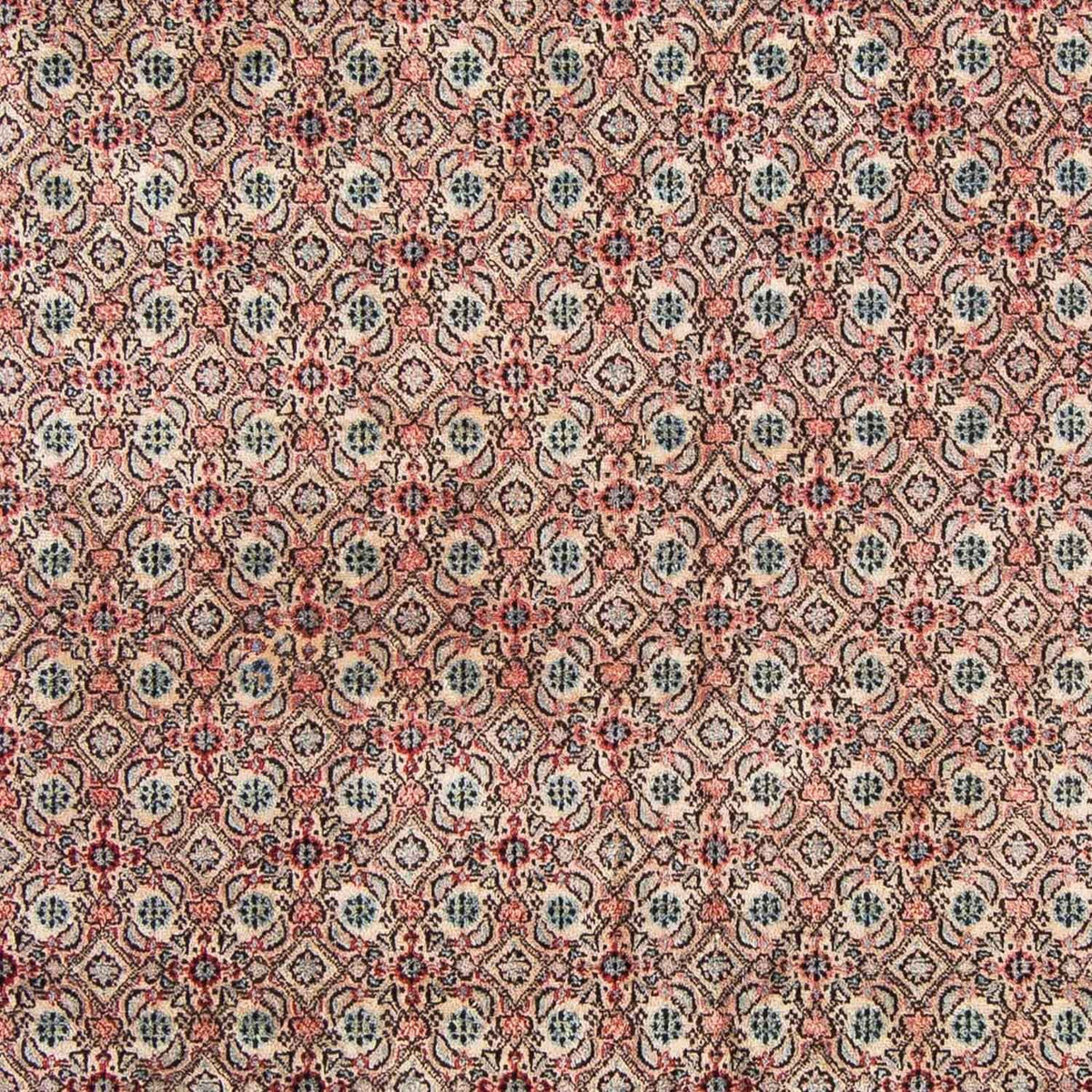Persisk tæppe - Classic - 296 x 207 cm - lysrød