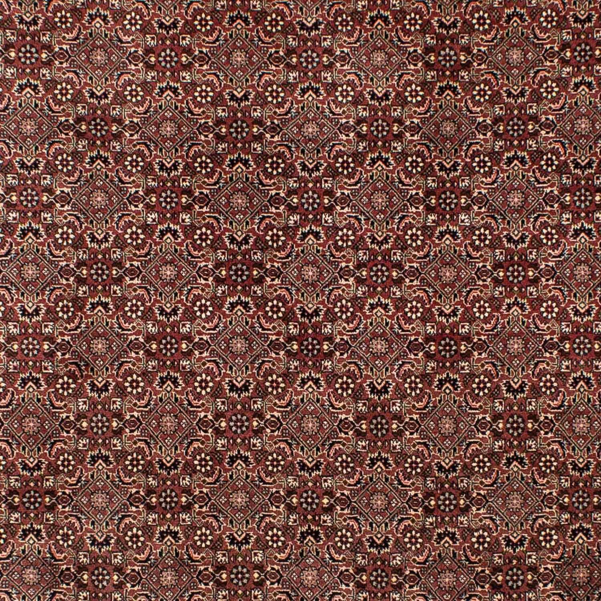 Persisk tæppe - Nomadisk - 307 x 192 cm - brun