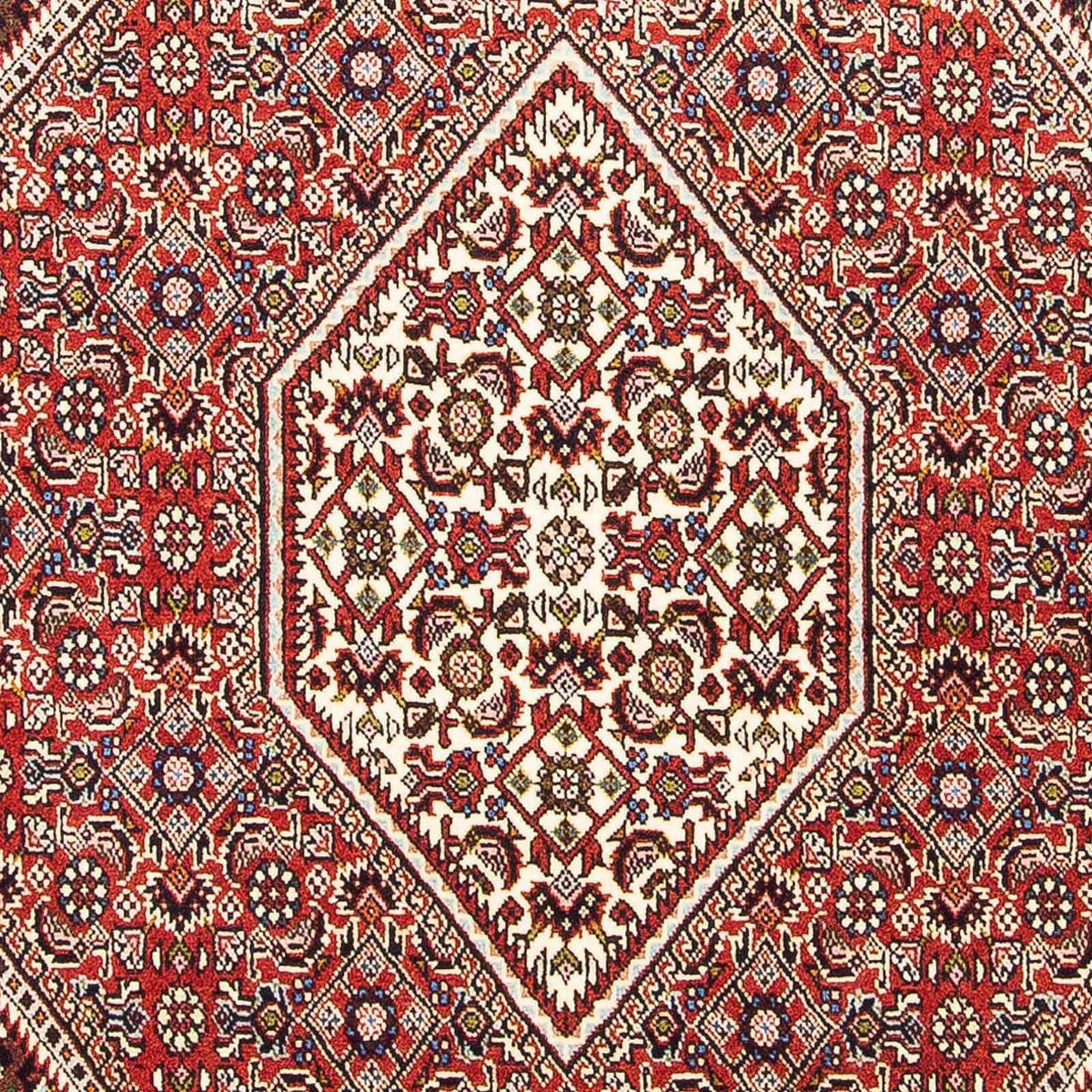 Persisk tæppe - Bijar - 176 x 113 cm - lysrød