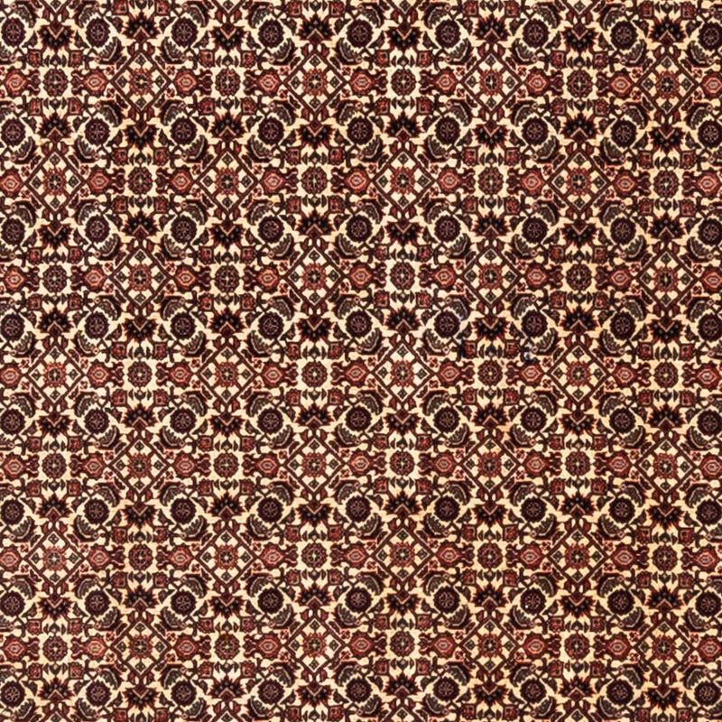 Persisk tæppe - Bijar - Royal - 287 x 208 cm - beige