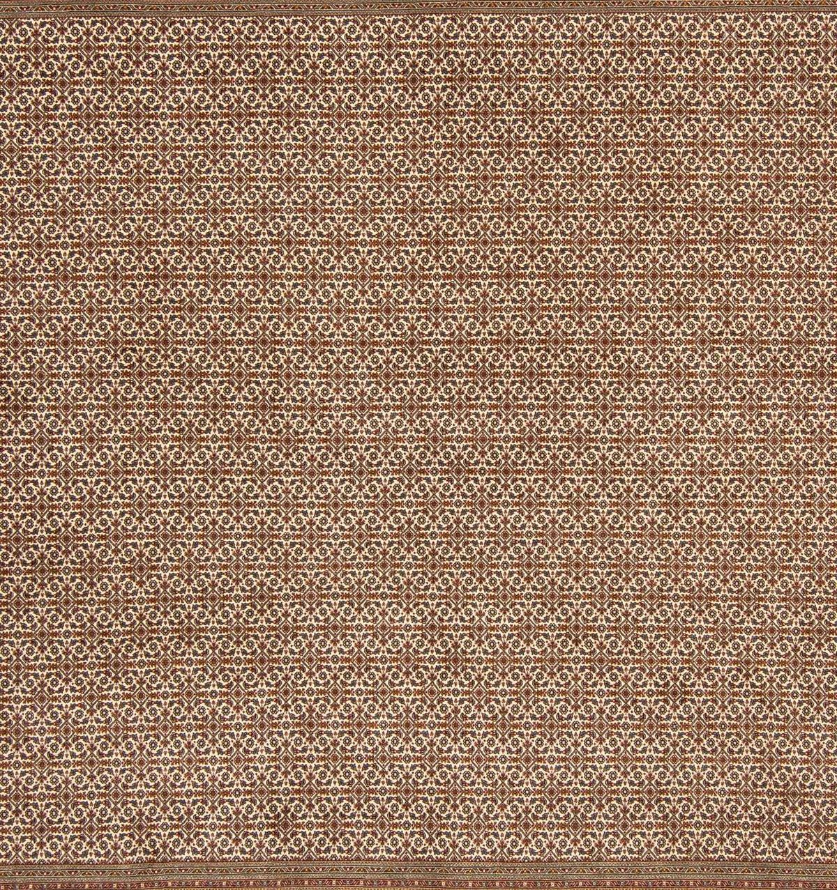 Persisk tæppe - Tabriz firkantet - 258 x 251 cm - lys brun