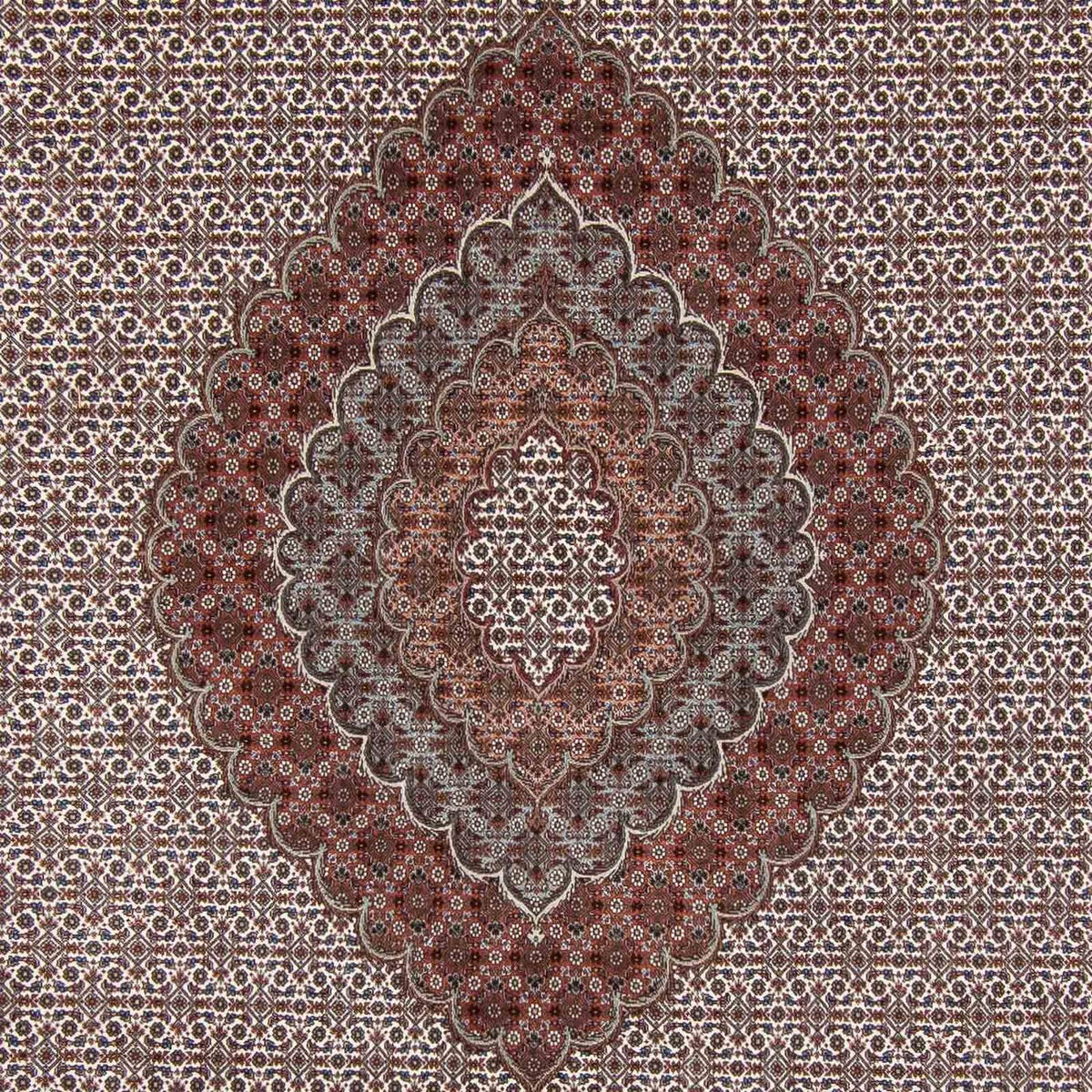 Persisk tæppe - Tabriz - 355 x 253 cm - mørkebrun