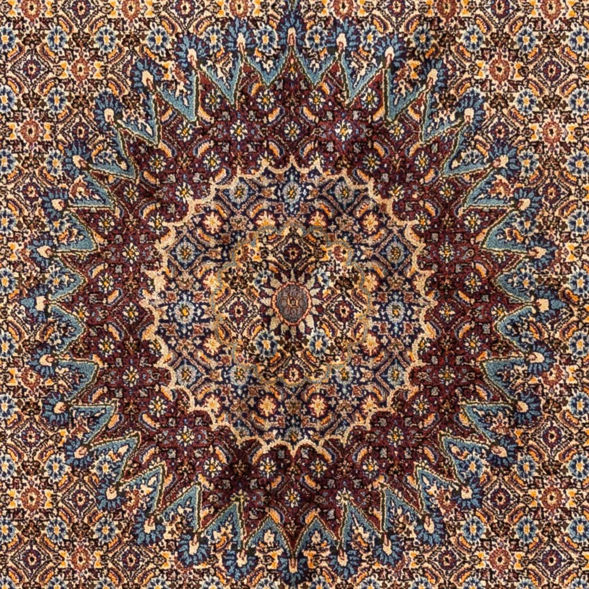 Persisk tæppe - Classic - 238 x 160 cm - beige