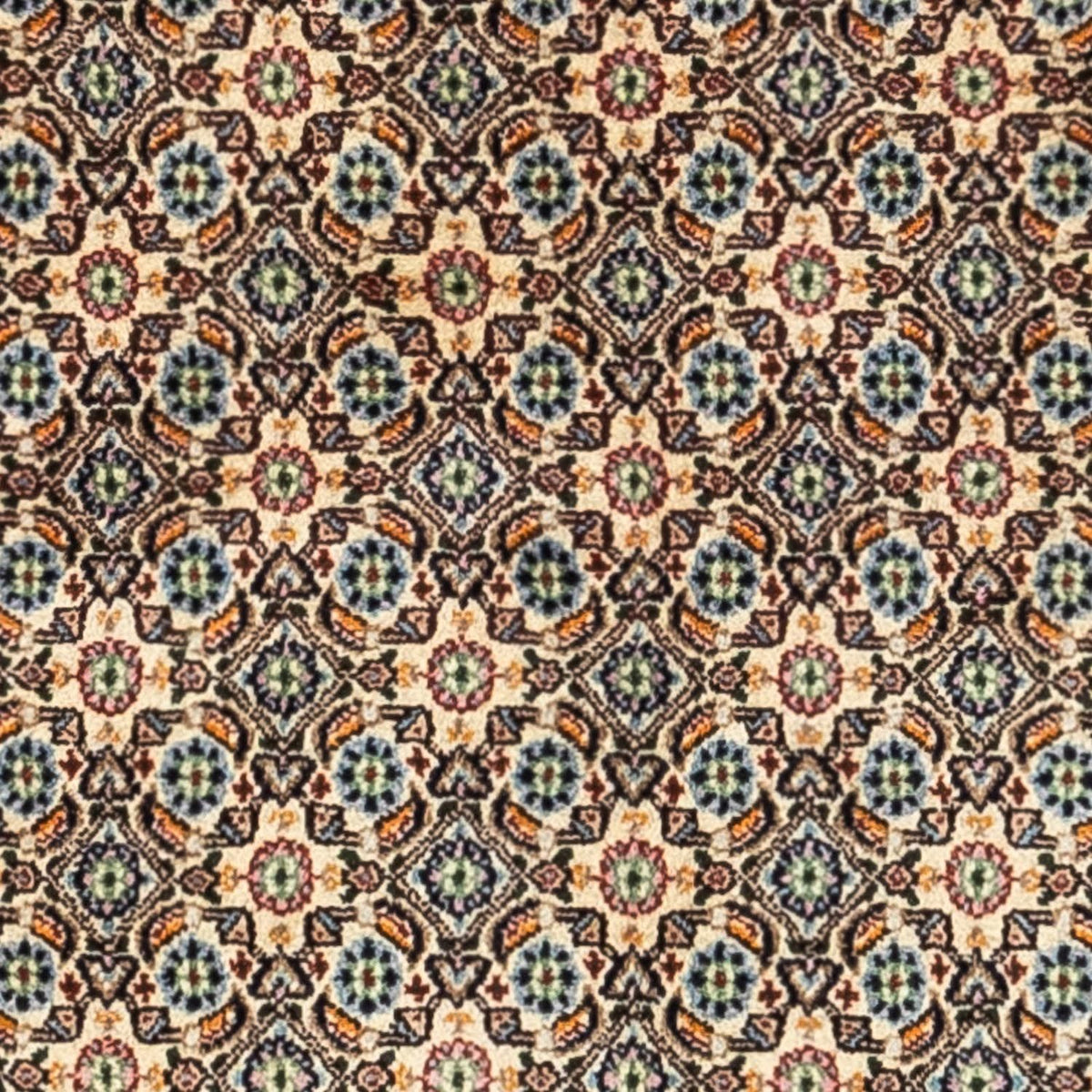 Persisk tæppe - Classic - 234 x 167 cm - beige