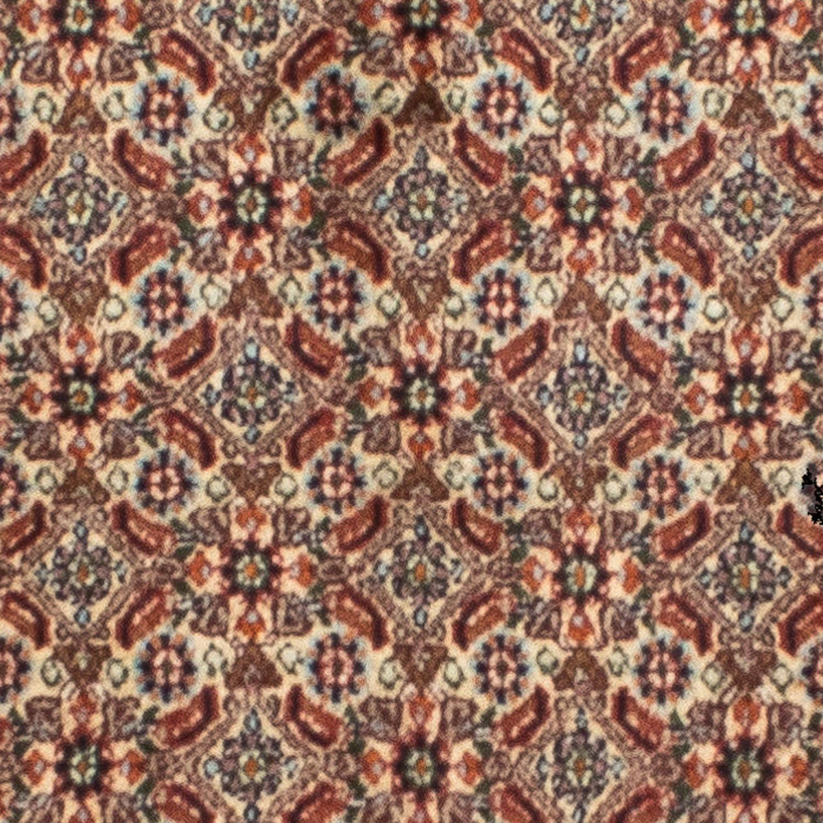 Løber Persisk tæppe - Classic - 246 x 80 cm - beige