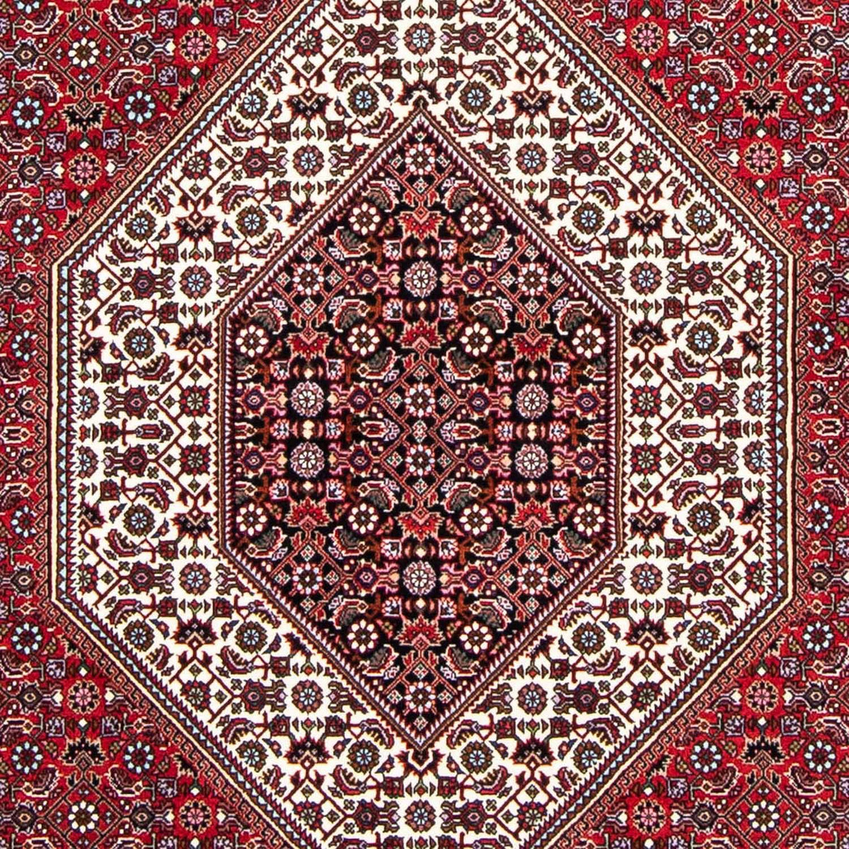 Persisk tæppe - Bijar - 250 x 149 cm - rød