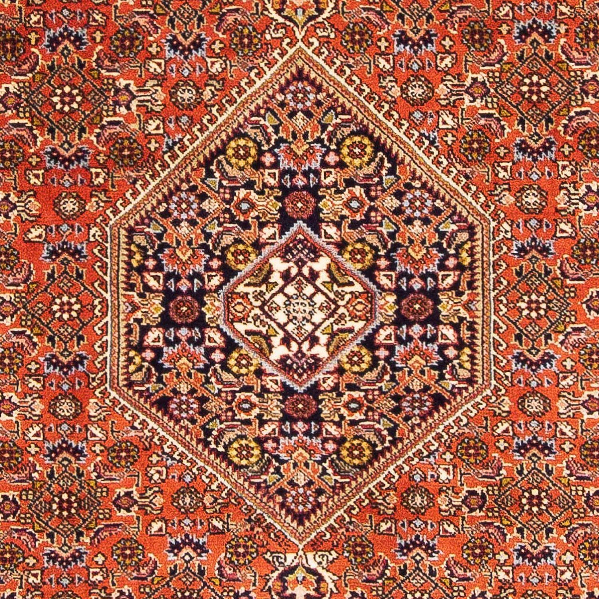 Persisk tæppe - Bijar - 162 x 106 cm - pink