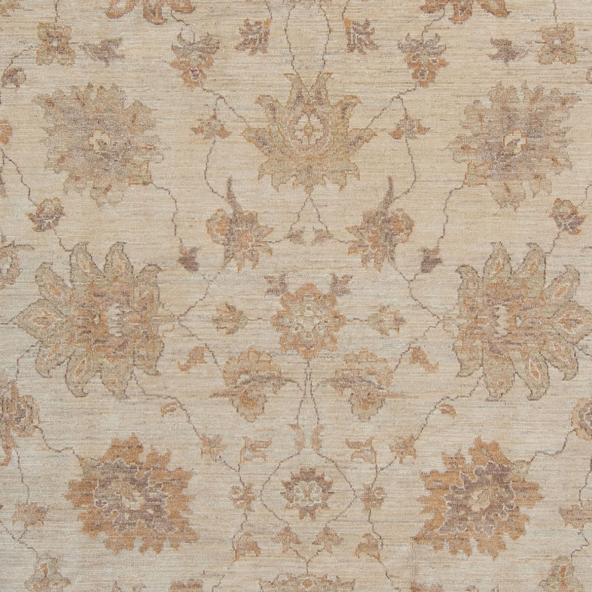 Ziegler Carpet - 337 x 249 cm - lys beige