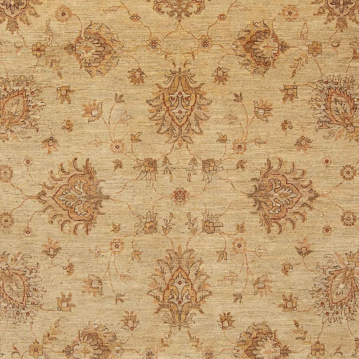 Ziegler Carpet - 293 x 244 cm - lys brun