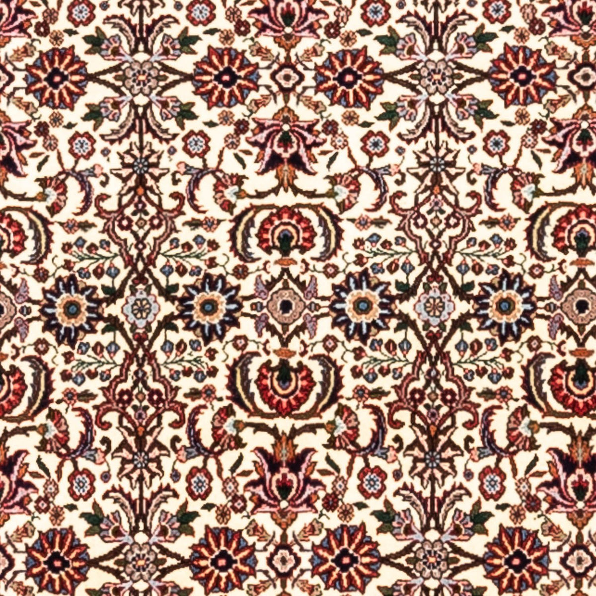 Persisk tæppe - Bijar - Royal - 300 x 201 cm - beige