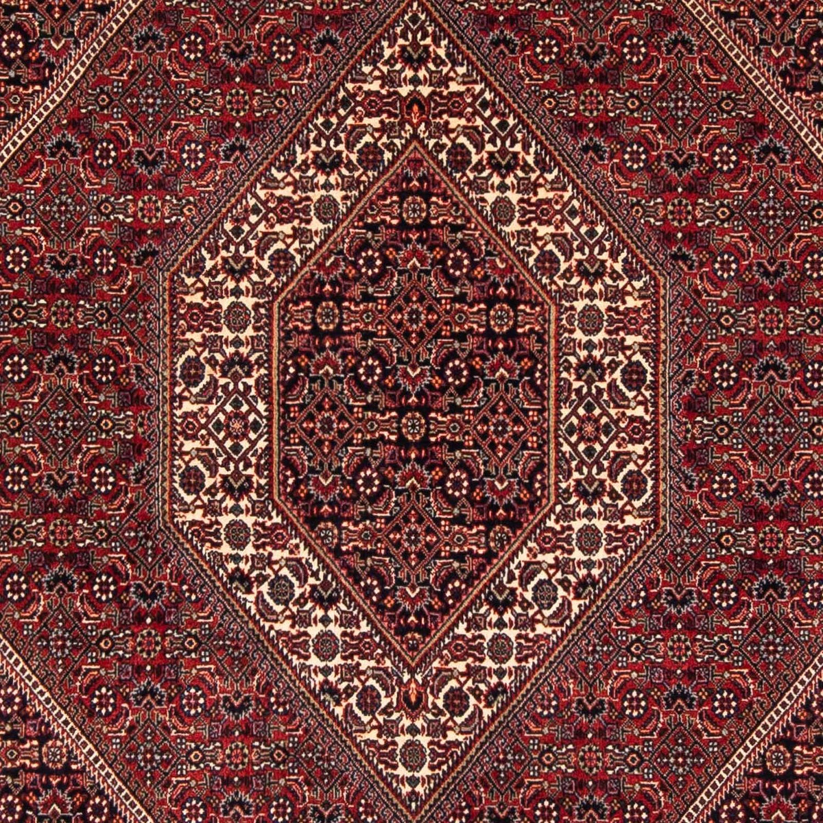 Persisk tæppe - Bijar firkantet - 152 x 148 cm - mørkerød