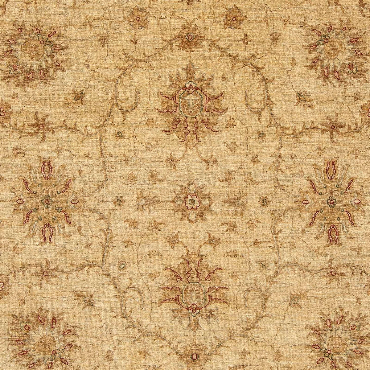 Ziegler Carpet - 296 x 245 cm - lys brun