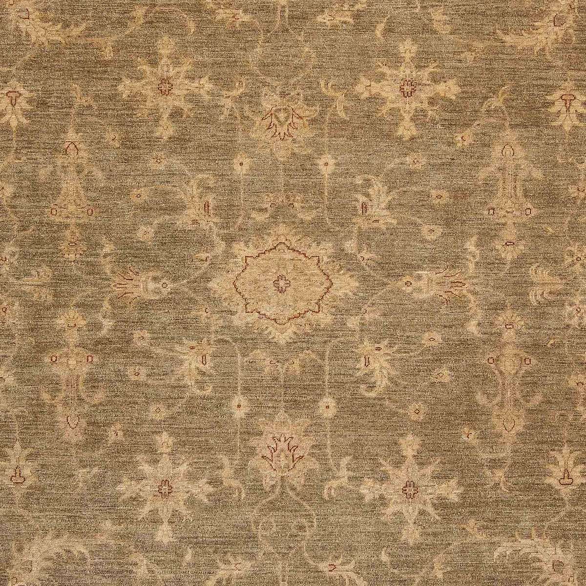 Ziegler Carpet - 353 x 248 cm - lys brun
