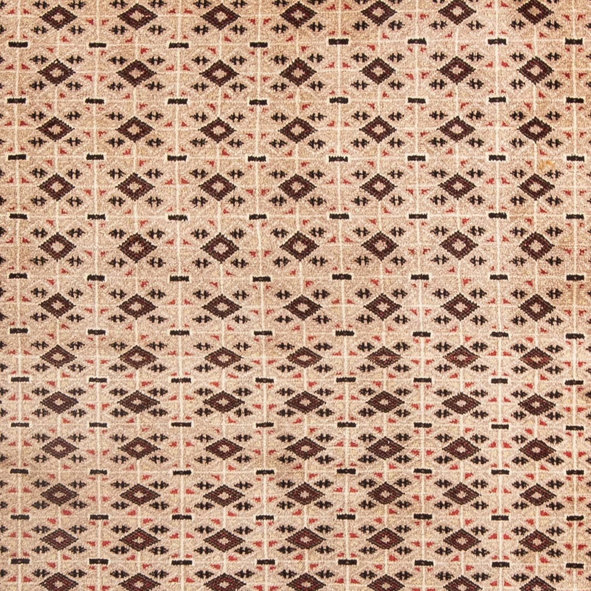 Baluch-tæppe - 181 x 134 cm - beige