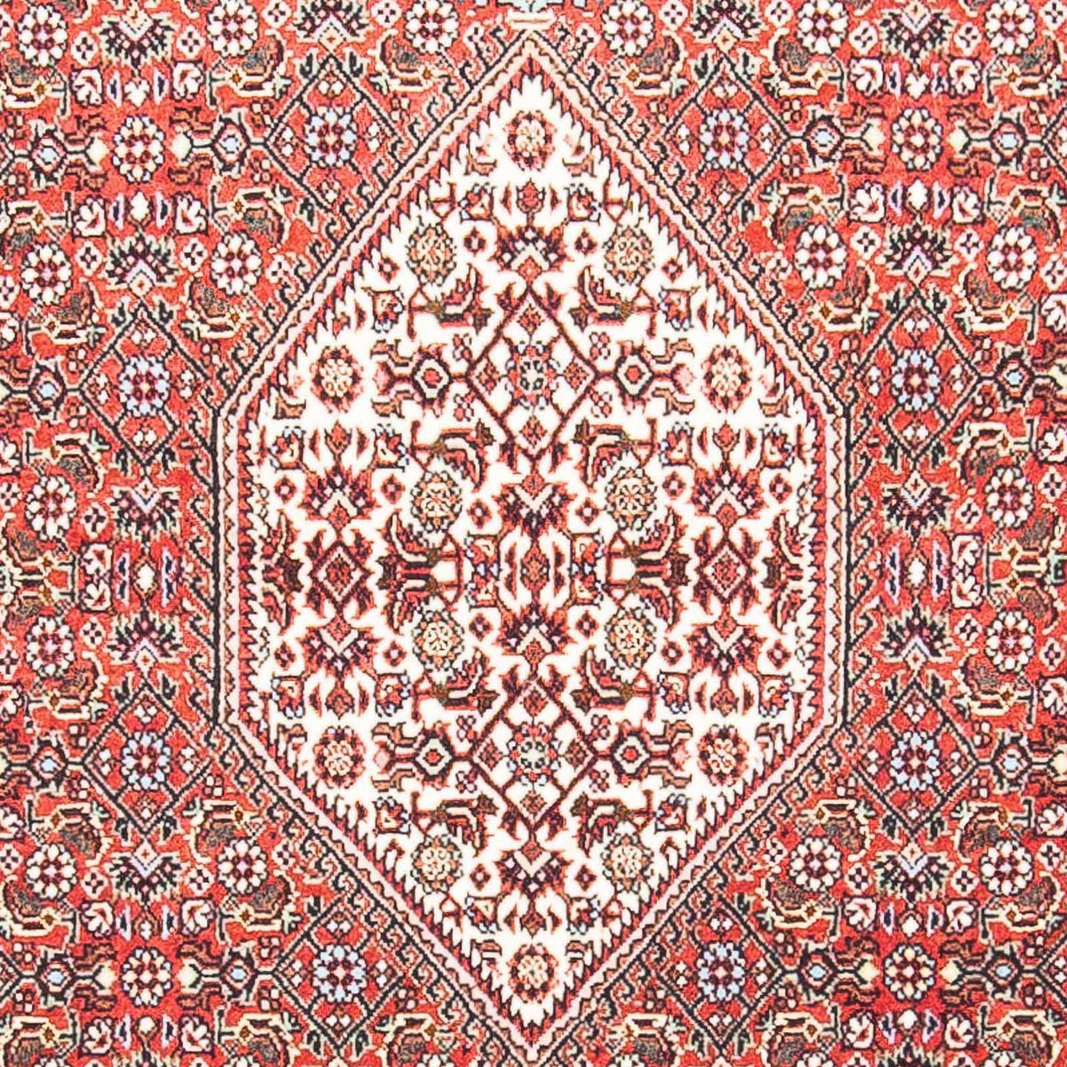 Persisk tæppe - Bijar - 156 x 88 cm - laks