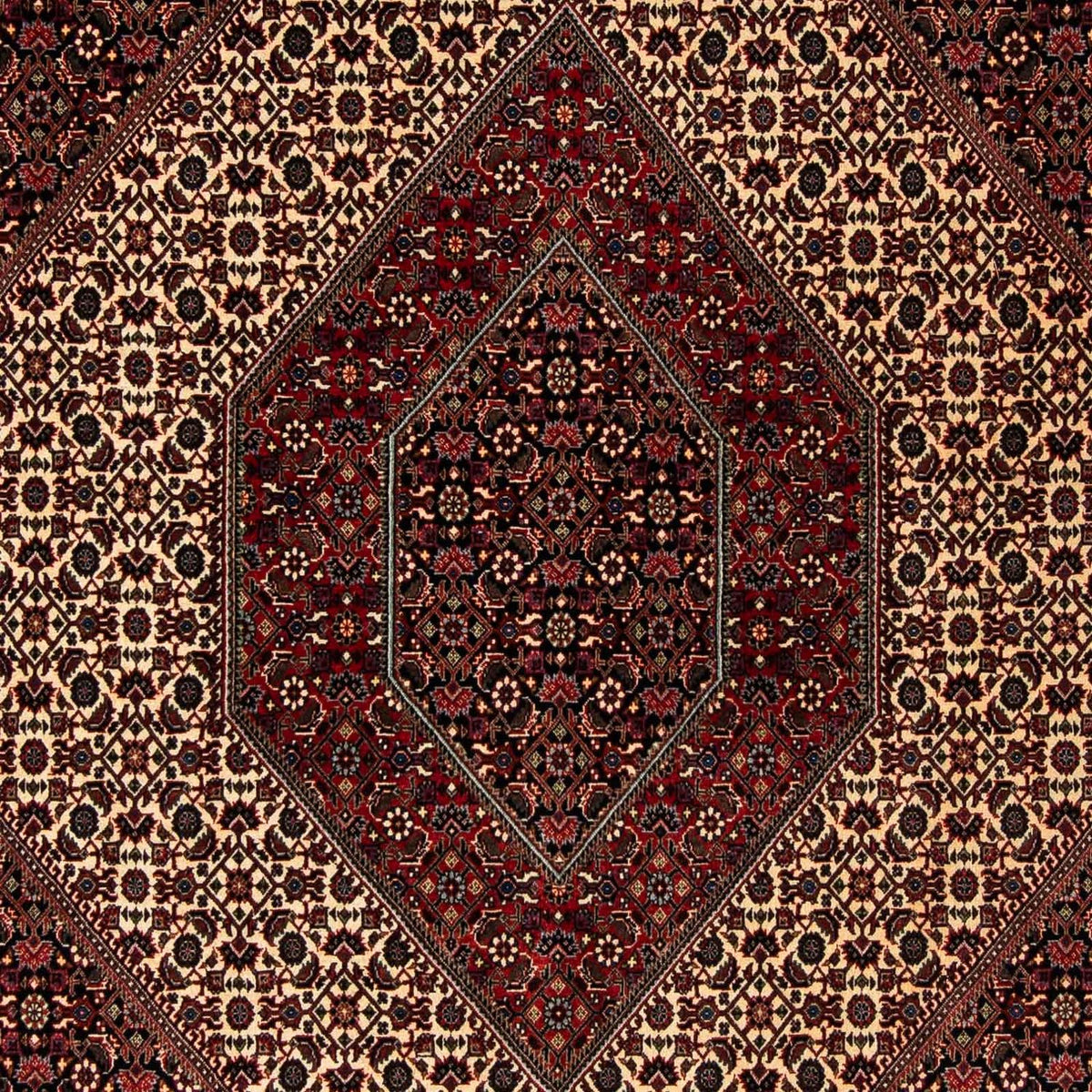 Persisk tæppe - Bijar - 248 x 202 cm - mørkerød