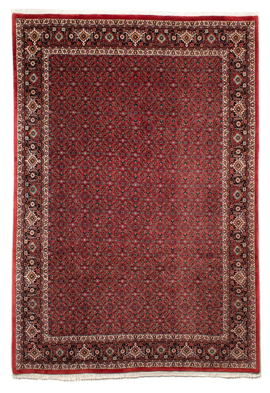 Persisk tæppe - Bijar - 295 x 203 cm - mørkerød