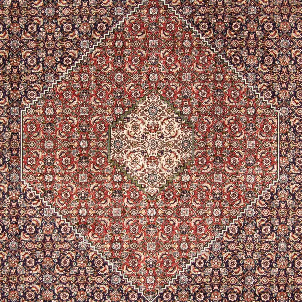 Persisk tæppe - Tabriz - 343 x 246 cm - flerfarvet