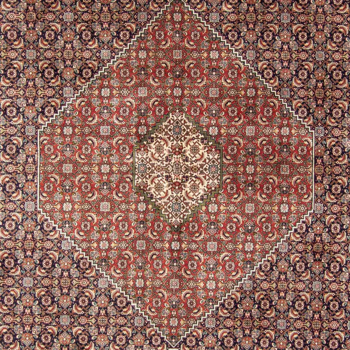 Persisk tæppe - Tabriz - 343 x 247 cm - flerfarvet