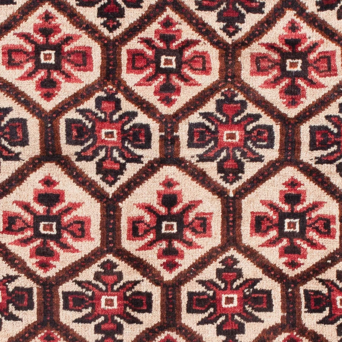 Baluch-tæppe - 150 x 86 cm - beige
