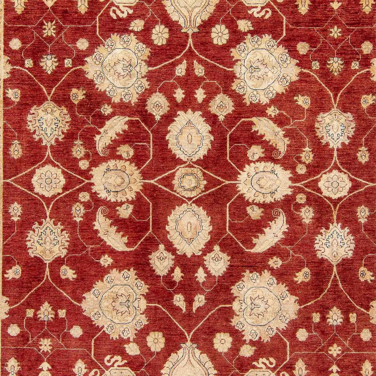 Ziegler Carpet - 390 x 295 cm - mørkerød