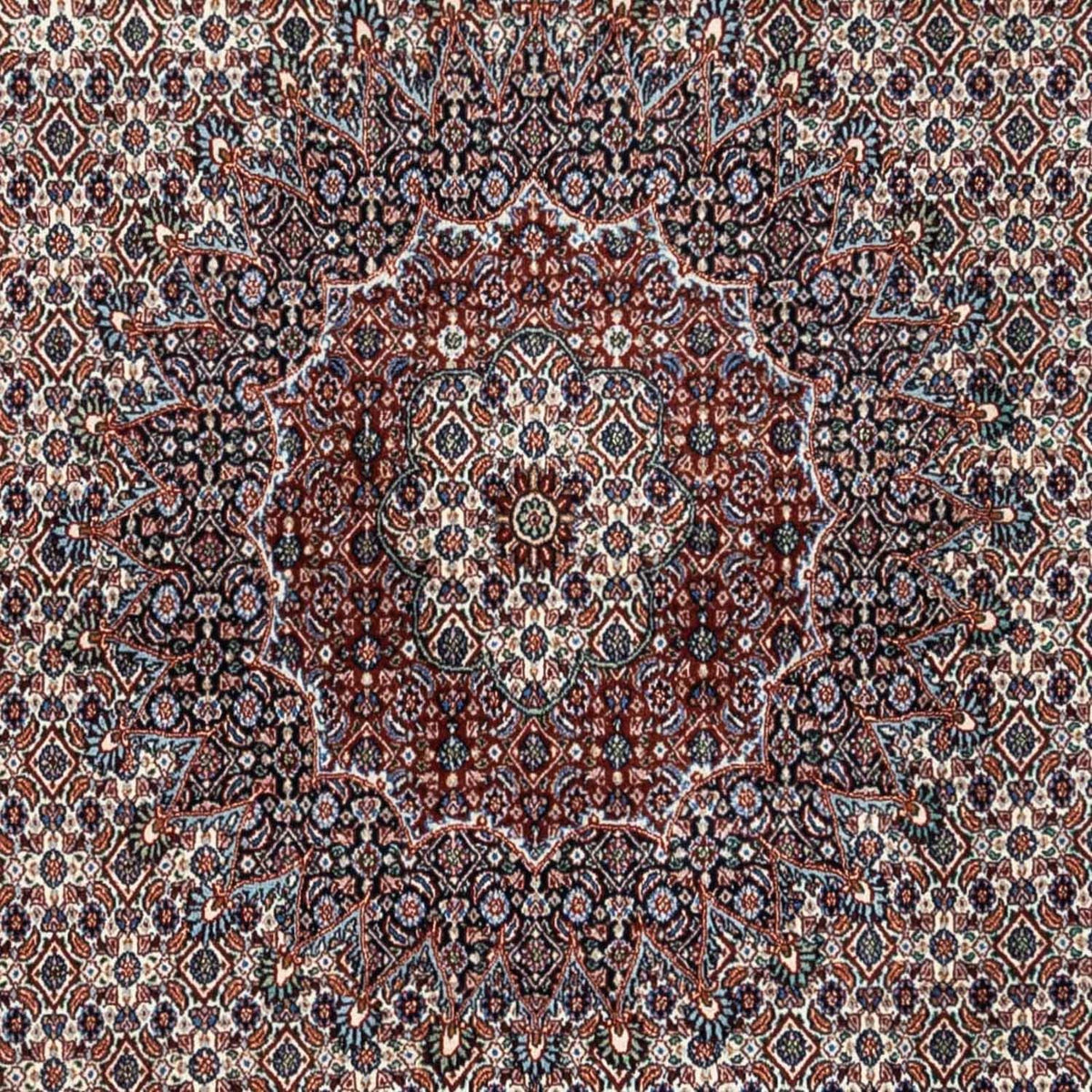 Persisk tæppe - Classic - 347 x 248 cm - beige