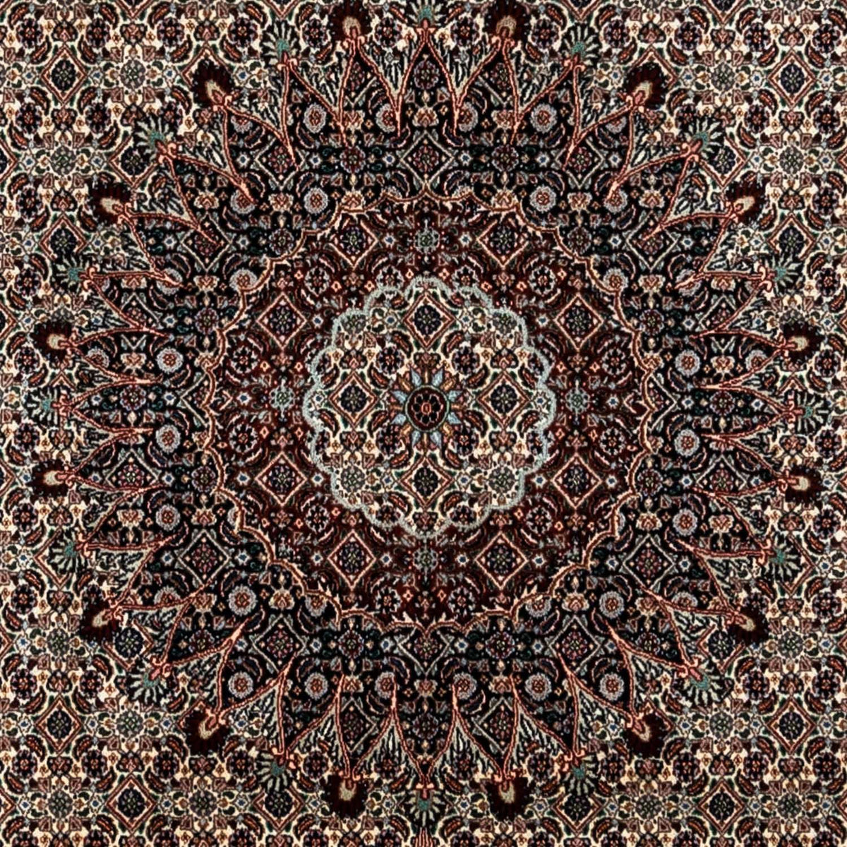 Persisk tæppe - Classic - 360 x 251 cm - beige