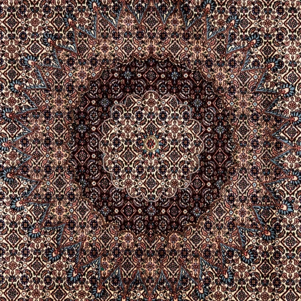 Persisk tæppe - Classic - 348 x 247 cm - beige