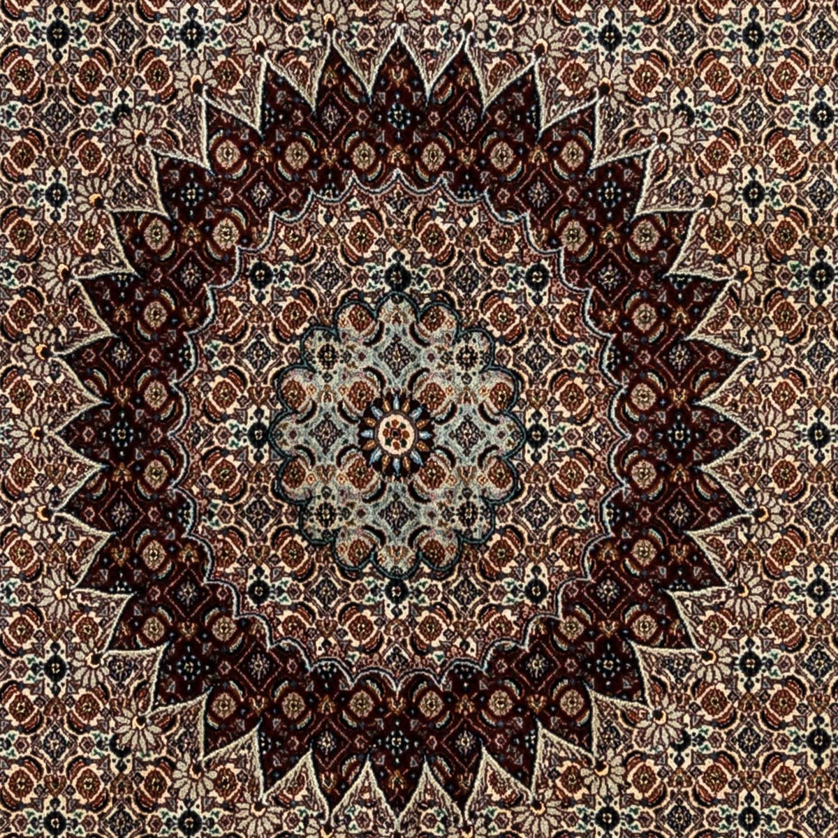 Persisk tæppe - Classic - 347 x 249 cm - beige