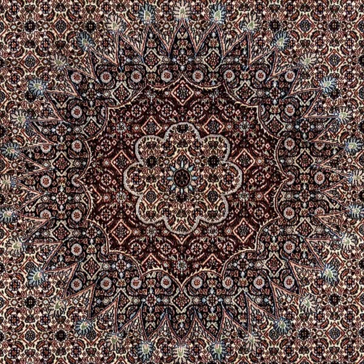 Persisk tæppe - Classic - 344 x 246 cm - beige