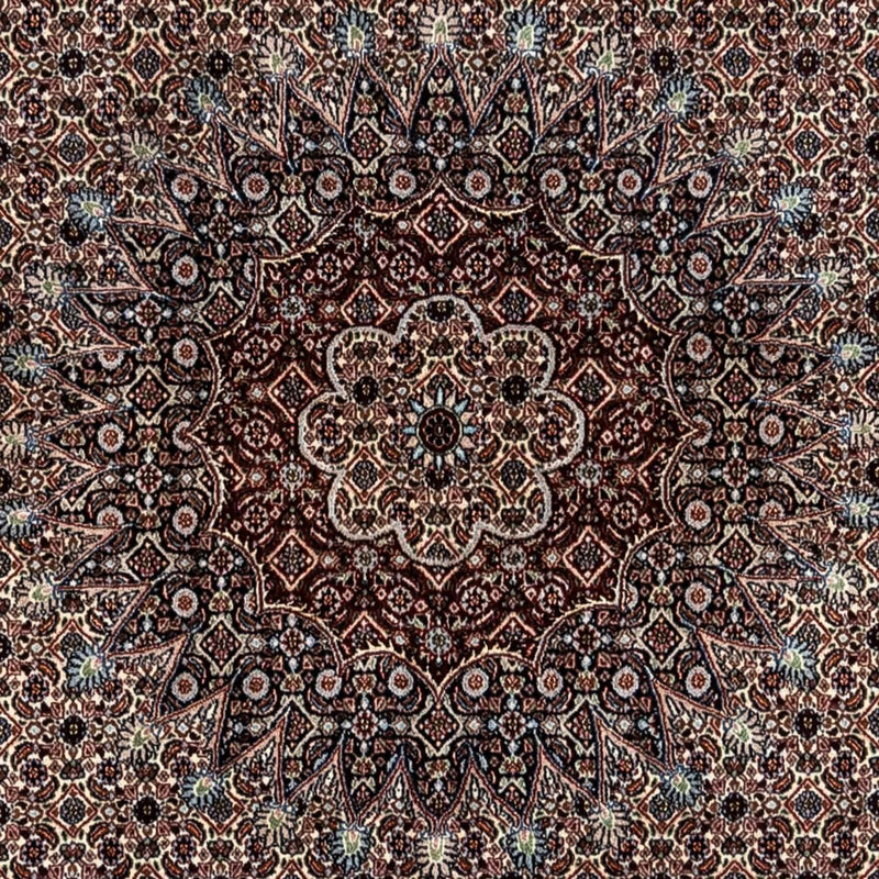 Persisk tæppe - Classic - 344 x 246 cm - beige