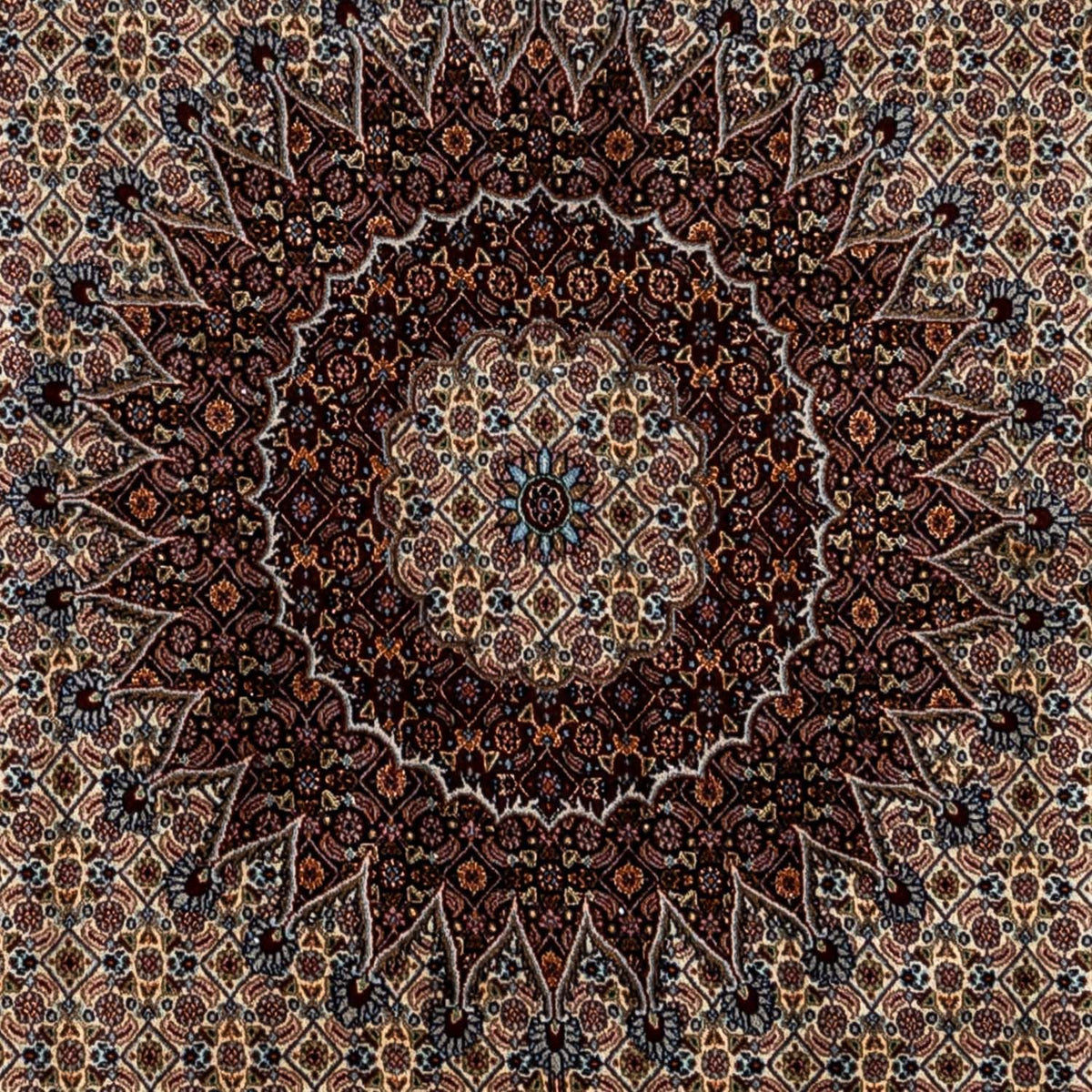 Persisk tæppe - Classic - 354 x 253 cm - beige