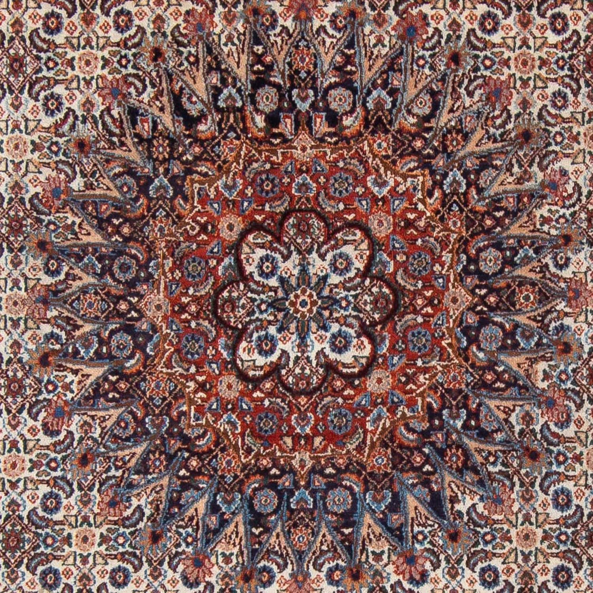 Persisk tæppe - Classic - 298 x 206 cm - mørkeblå