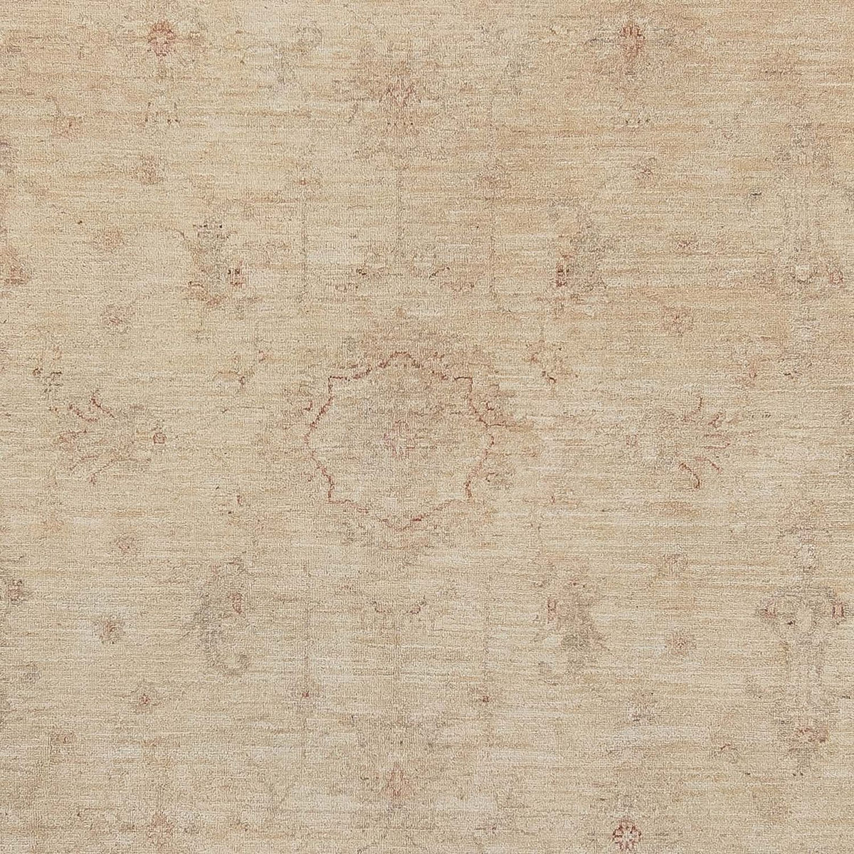 Ziegler Carpet - 345 x 240 cm - lys brun