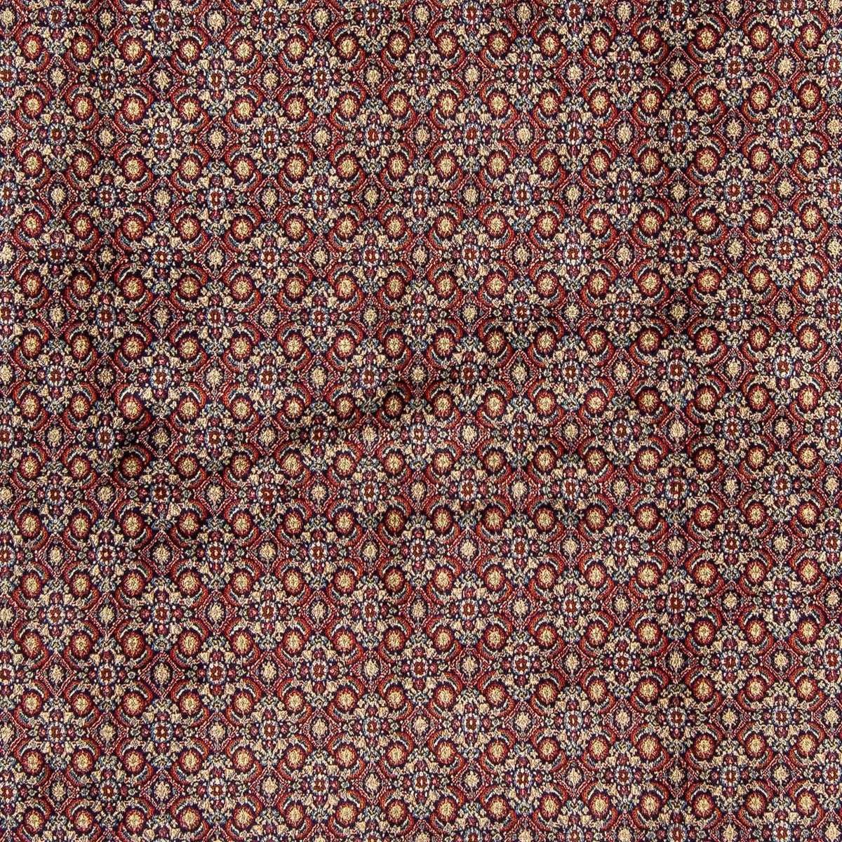 Persisk tæppe - Classic firkantet  - 252 x 252 cm - flerfarvet