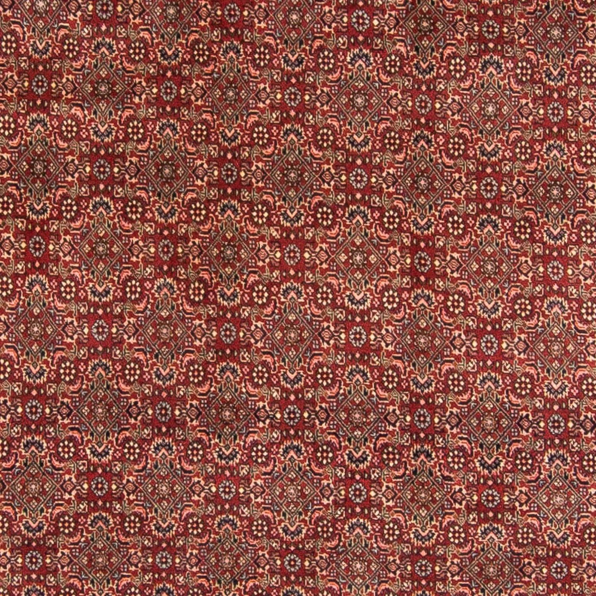 Persisk tæppe - Bijar - 298 x 200 cm - mørkerød