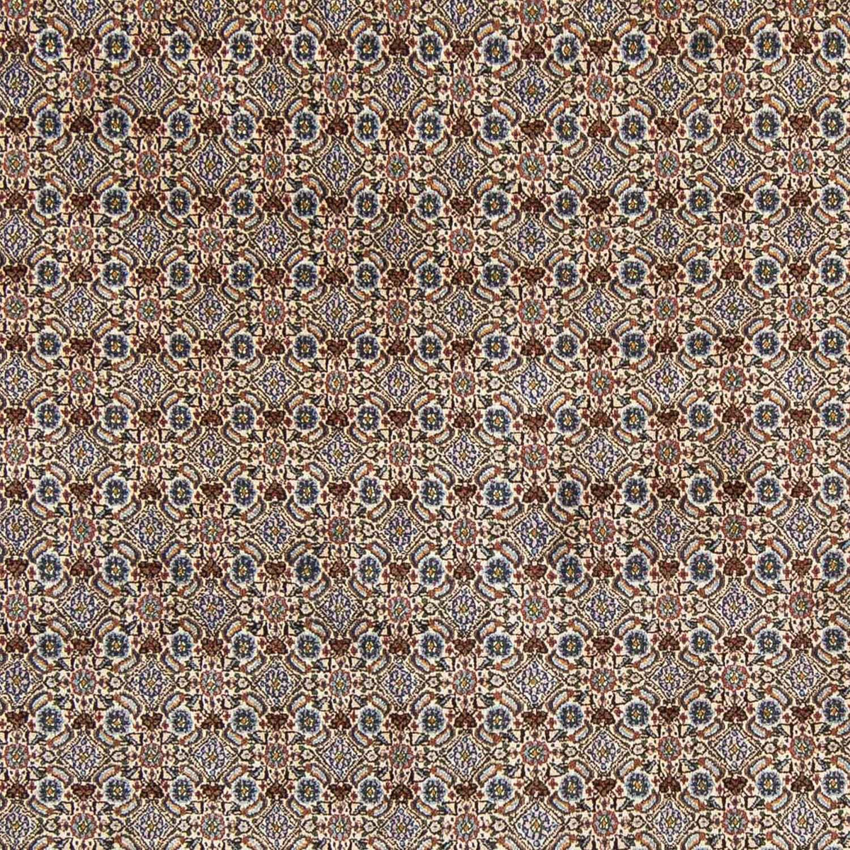 Persisk tæppe - Classic - 303 x 198 cm - beige