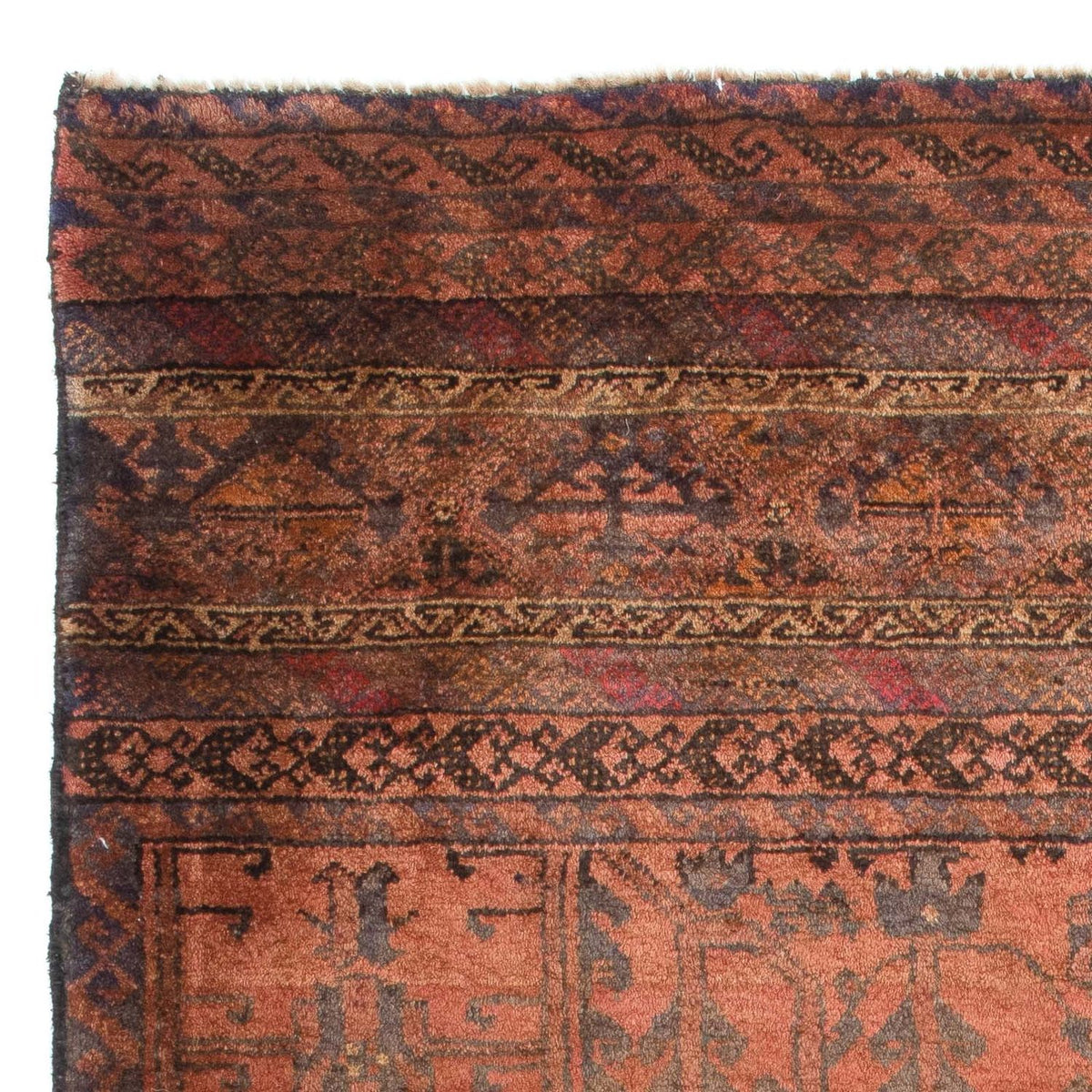 Baluch-tæppe - 172 x 105 cm - brun