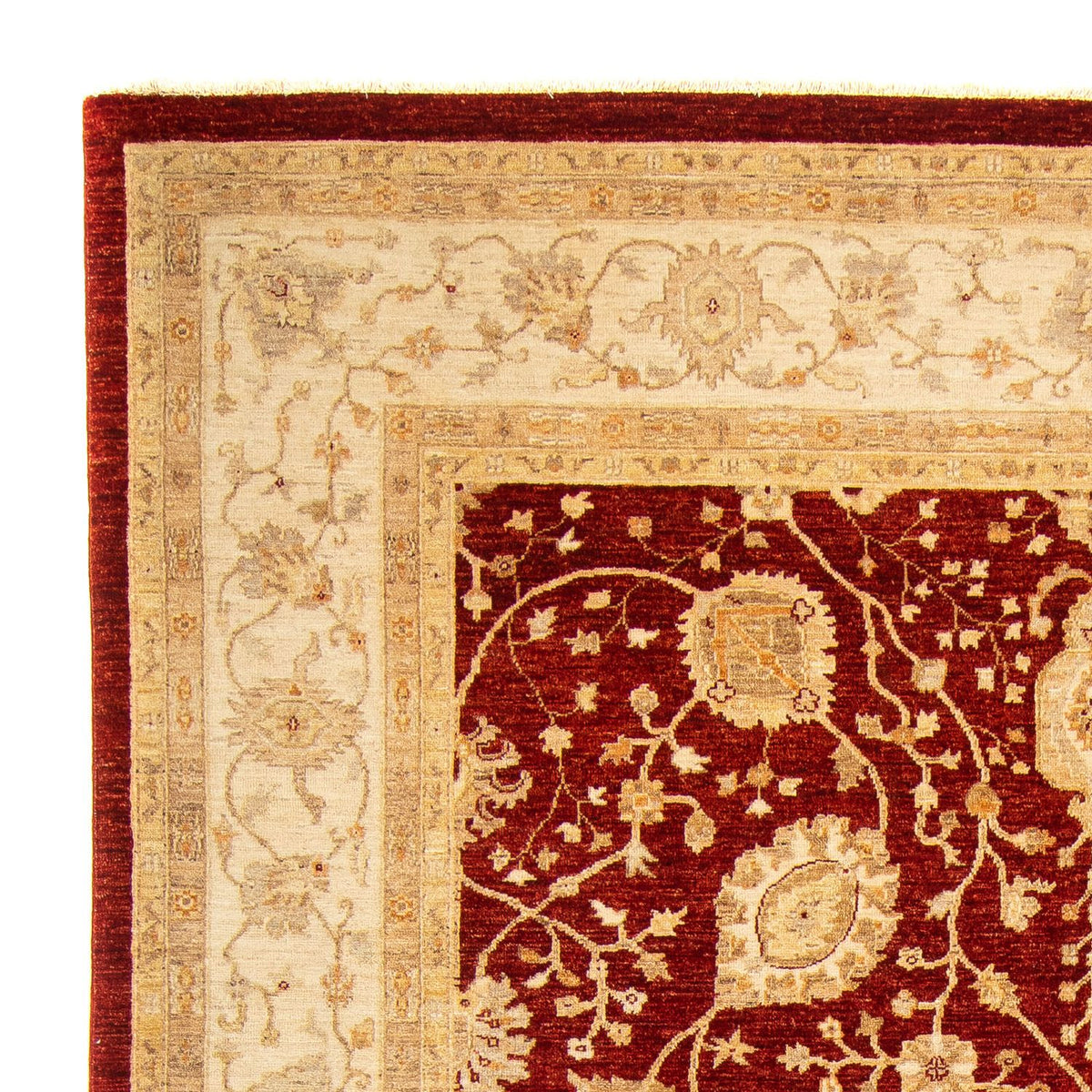 Ziegler Carpet - 343 x 248 cm - mørkerød